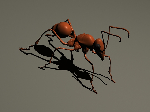 Fire ant 3D Model